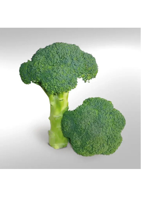 КС 355 F1 / KS 355 F1 1 000 насінин - Капуста Брокколі, Kitano Seeds