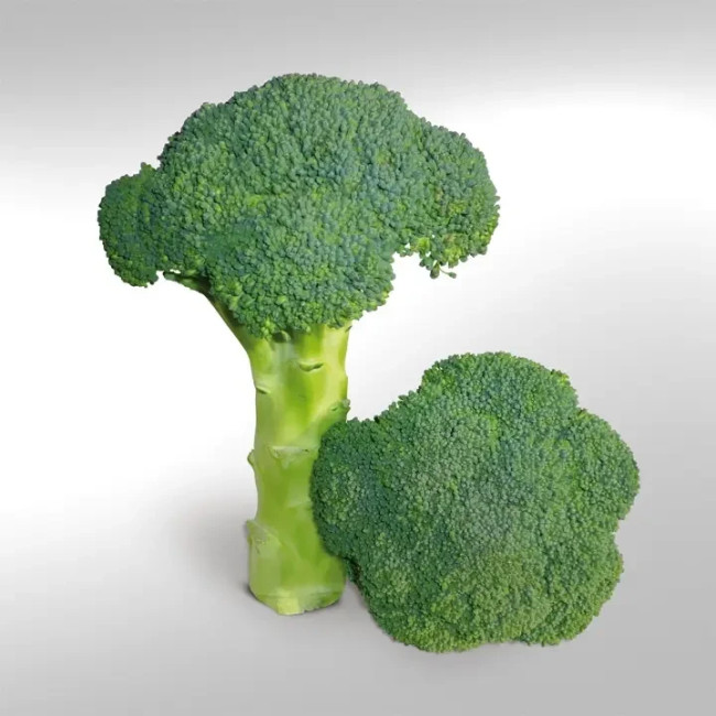 КС 355 F1 / KS 355 F1 1 000 семян - Капуста Брокколи, Kitano Seeds