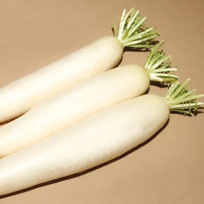КС 100 F1 / KS 100 F1 10 грамм — Редис Дайкон, Kitano Seeds
