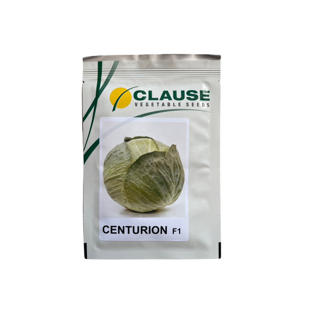 ЦЕНТУРИОН F1 / CENTURION F1 2 500 семян - Капуста Белоголова, Clause