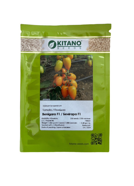 БЕНІГАРА (КС 1430) F1 / BENIGARA (KS 1430) F1 250 насінин - Томат Індетермінантний, Kitano Seeds
