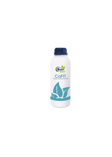 Кальцієве добриво SmartGrow CaFIT, 1 л