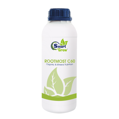 Стимулятор корнеобразования SmartGrow Rootmost C60, 1 л